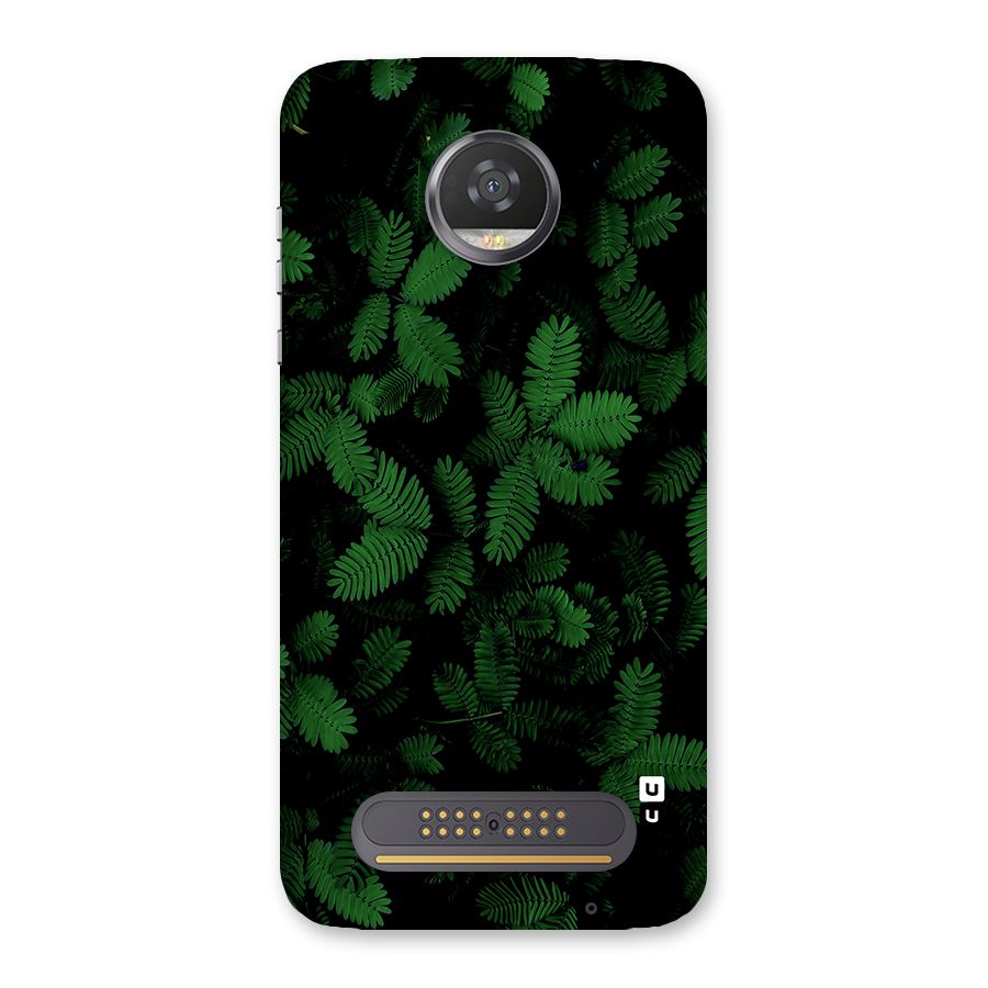 Beautiful Touch Me Not Back Case for Moto Z2 Play