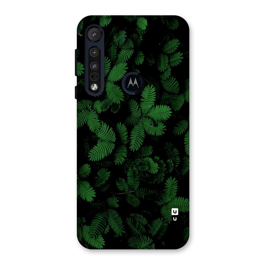 Beautiful Touch Me Not Back Case for Motorola One Macro