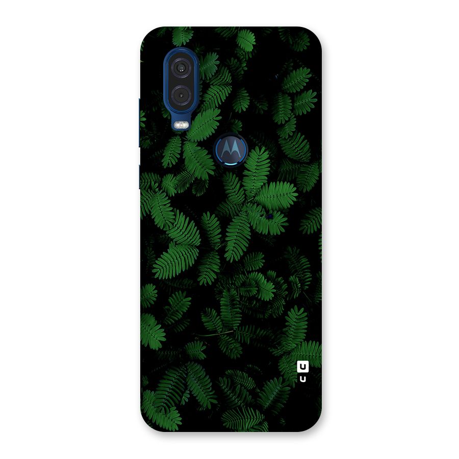 Beautiful Touch Me Not Back Case for Motorola One Vision