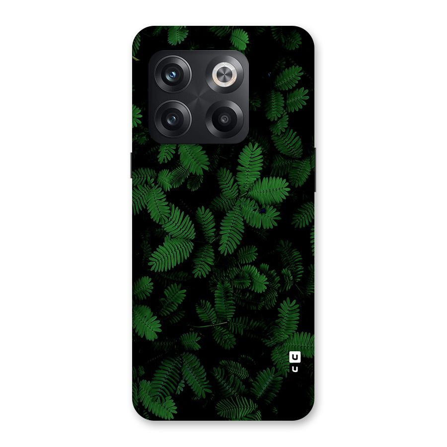Beautiful Touch Me Not Back Case for OnePlus 10T