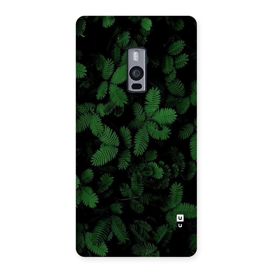 Beautiful Touch Me Not Back Case for OnePlus 2