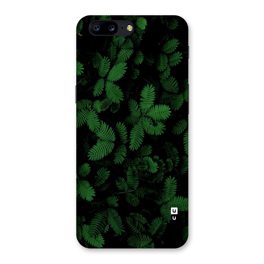 Beautiful Touch Me Not Back Case for OnePlus 5