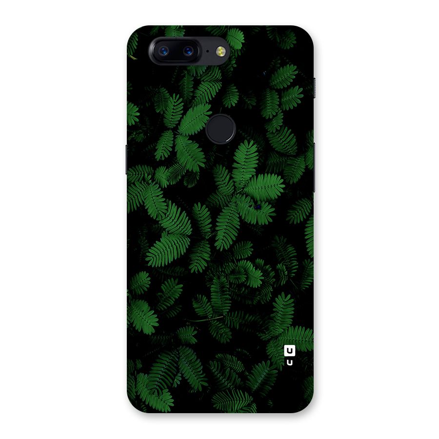 Beautiful Touch Me Not Back Case for OnePlus 5T
