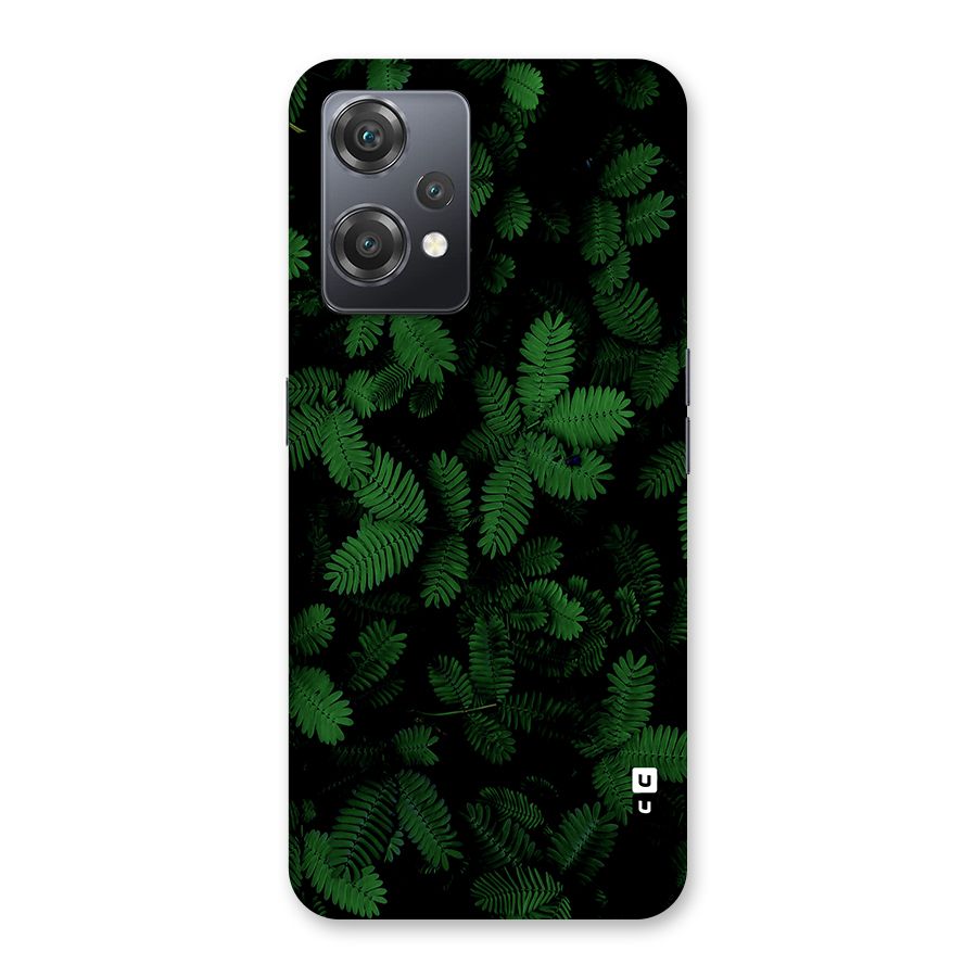 Beautiful Touch Me Not Back Case for OnePlus Nord CE 2 Lite 5G
