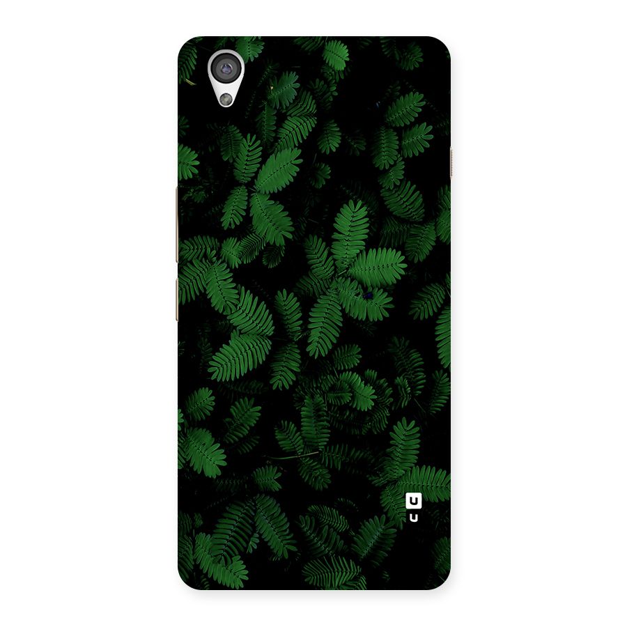 Beautiful Touch Me Not Back Case for OnePlus X