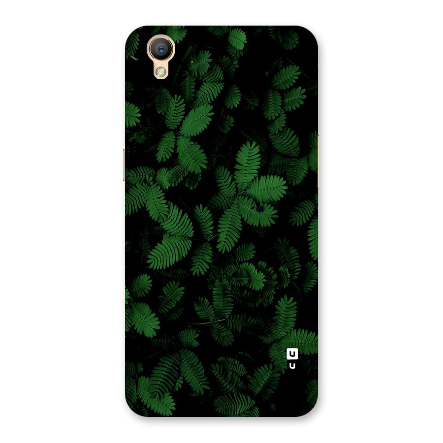 Beautiful Touch Me Not Back Case for Oppo A37