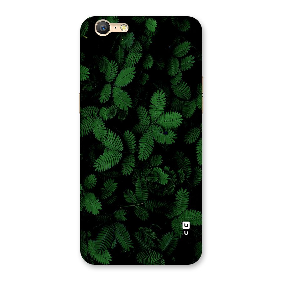Beautiful Touch Me Not Back Case for Oppo A39