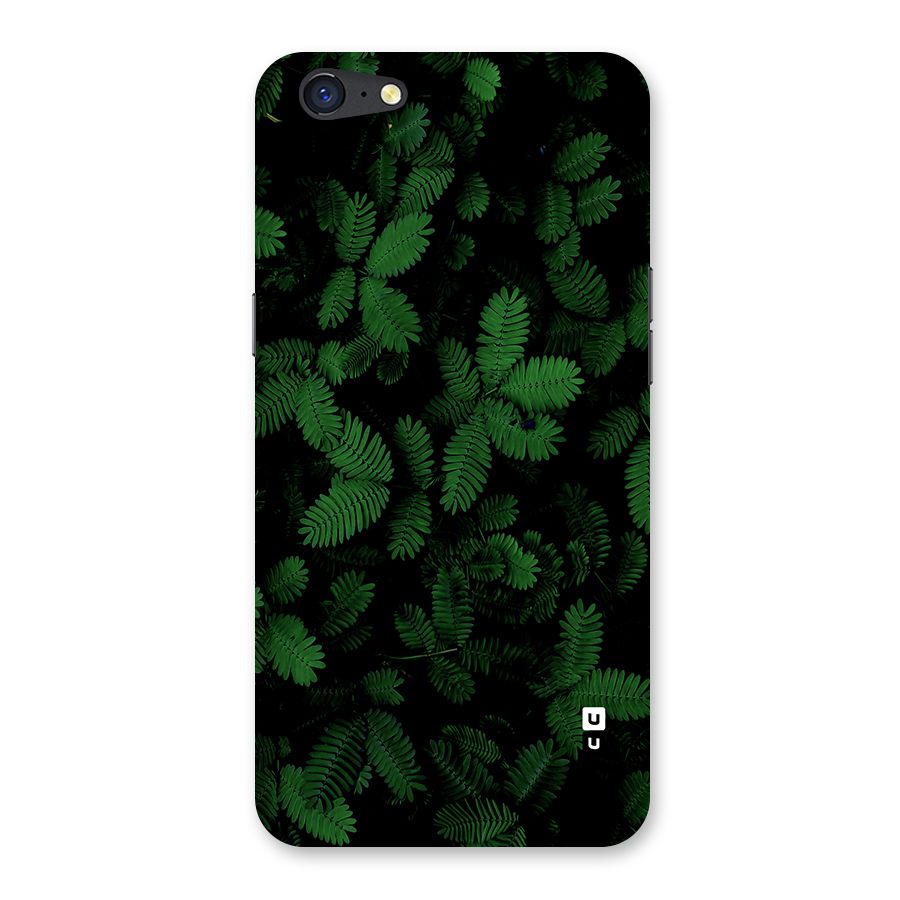Beautiful Touch Me Not Back Case for Oppo A71