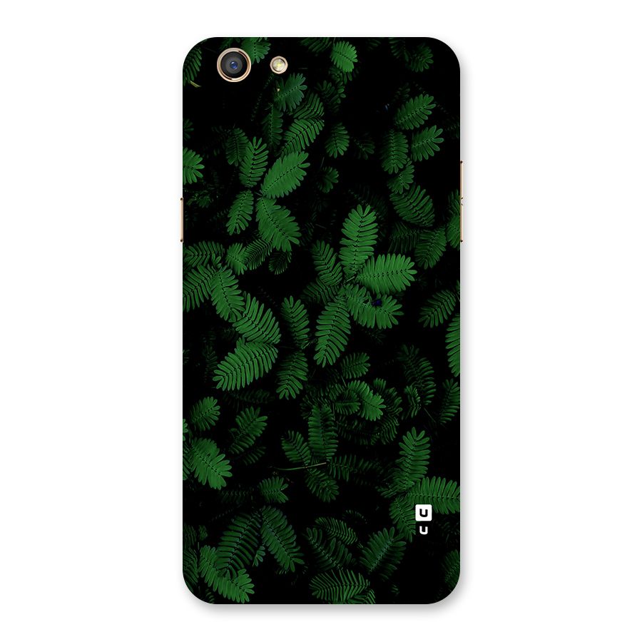 Beautiful Touch Me Not Back Case for Oppo F3