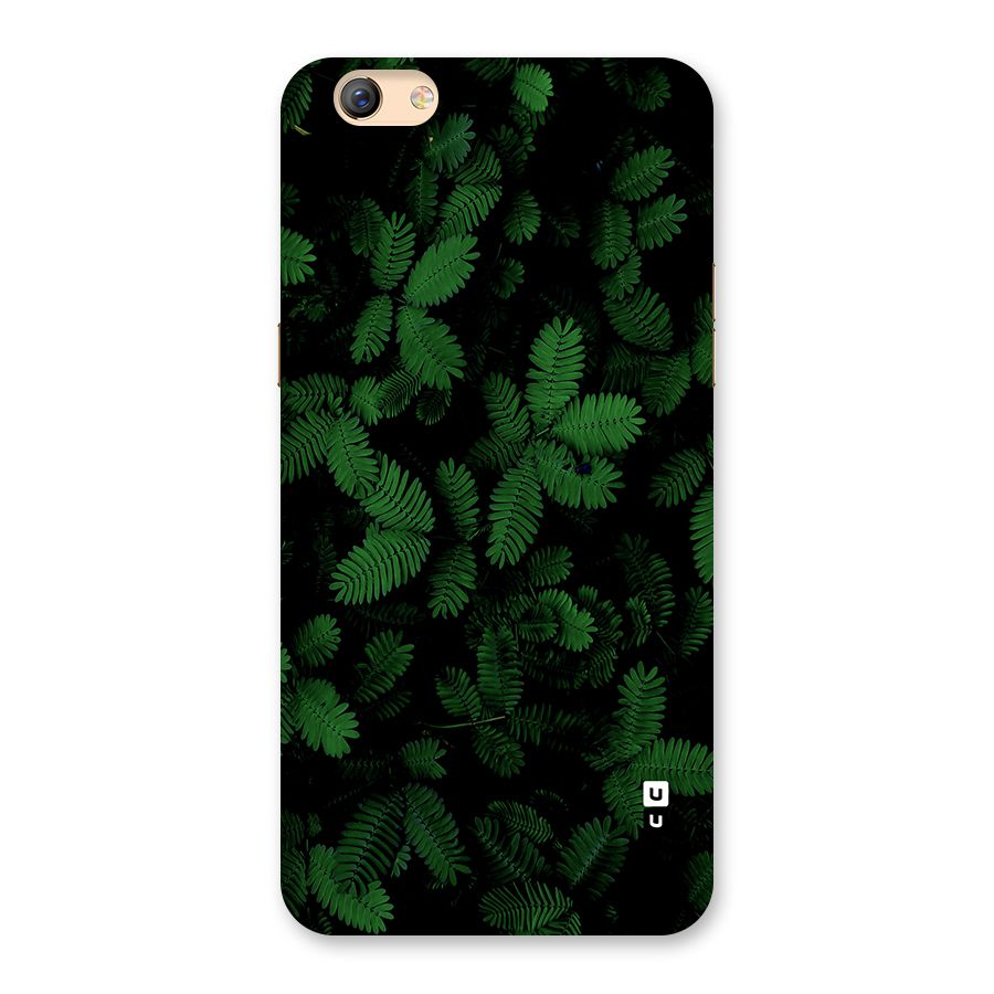 Beautiful Touch Me Not Back Case for Oppo F3 Plus