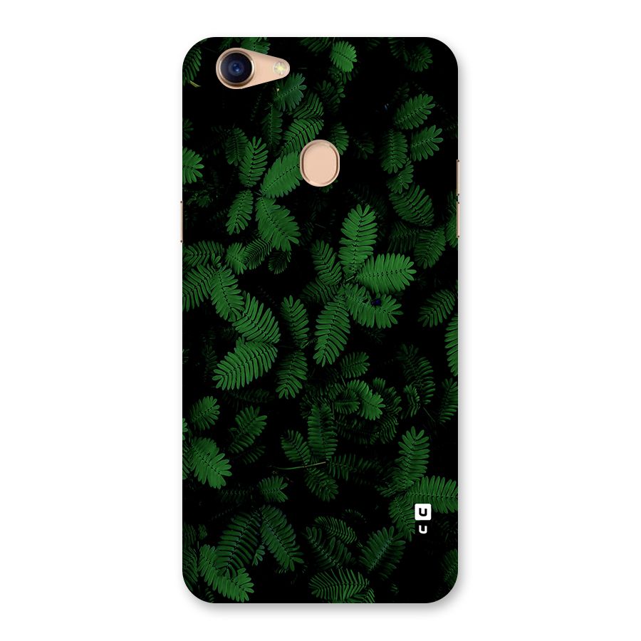 Beautiful Touch Me Not Back Case for Oppo F5