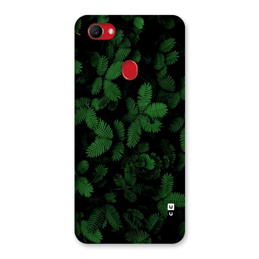 Beautiful Touch Me Not Back Case for Oppo F7