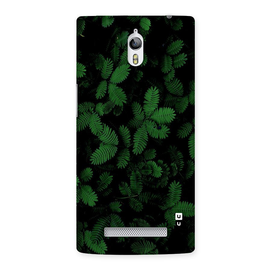 Beautiful Touch Me Not Back Case for Oppo Find 7