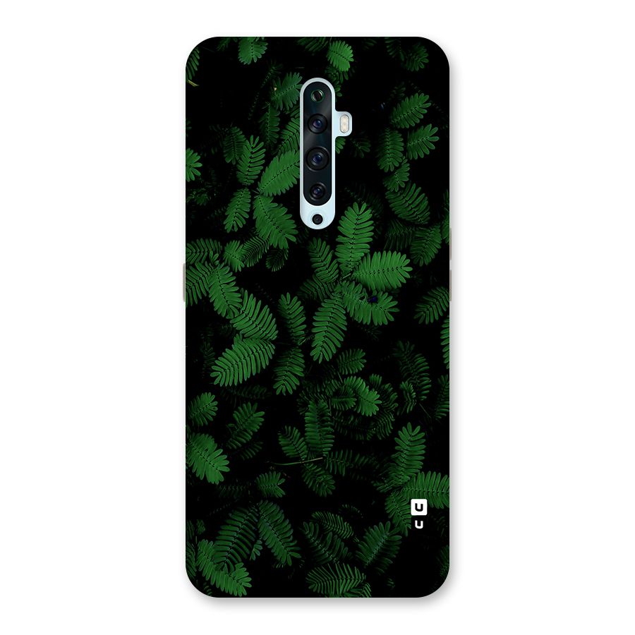 Beautiful Touch Me Not Back Case for Oppo Reno2 F