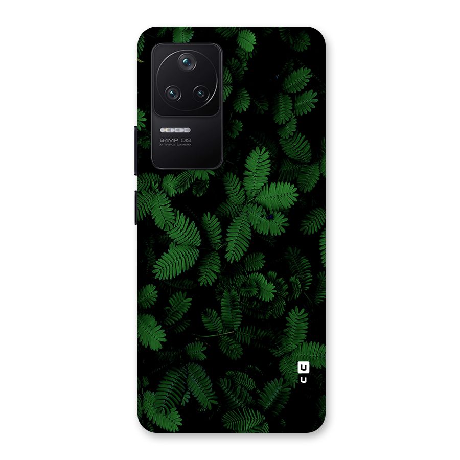 Beautiful Touch Me Not Back Case for Poco F4 5G