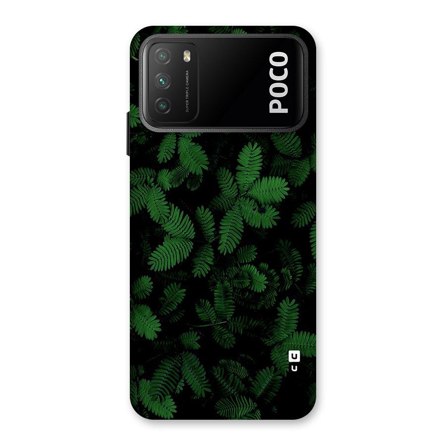 Beautiful Touch Me Not Back Case for Poco M3