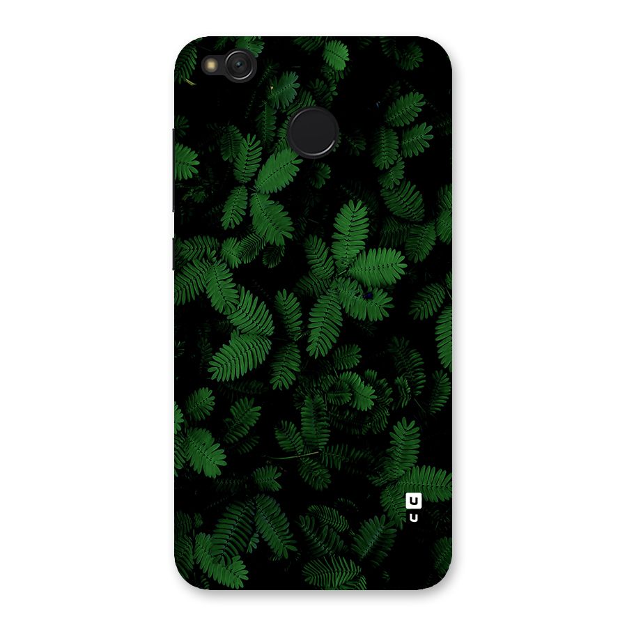 Beautiful Touch Me Not Back Case for Redmi 4