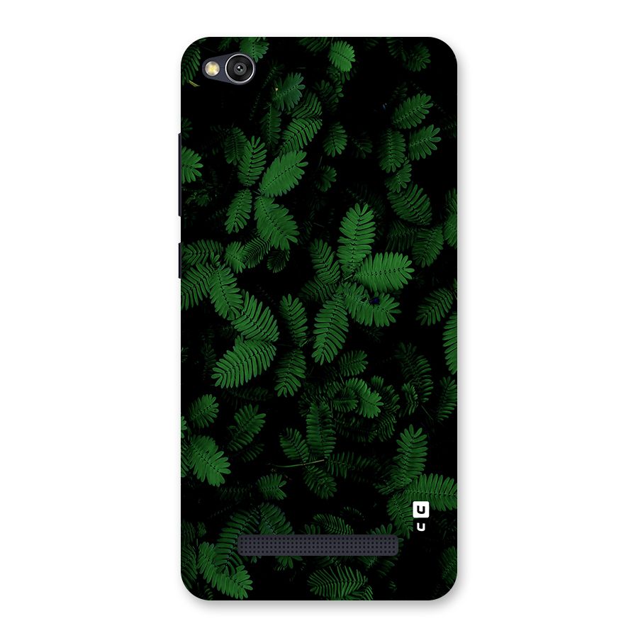 Beautiful Touch Me Not Back Case for Redmi 4A