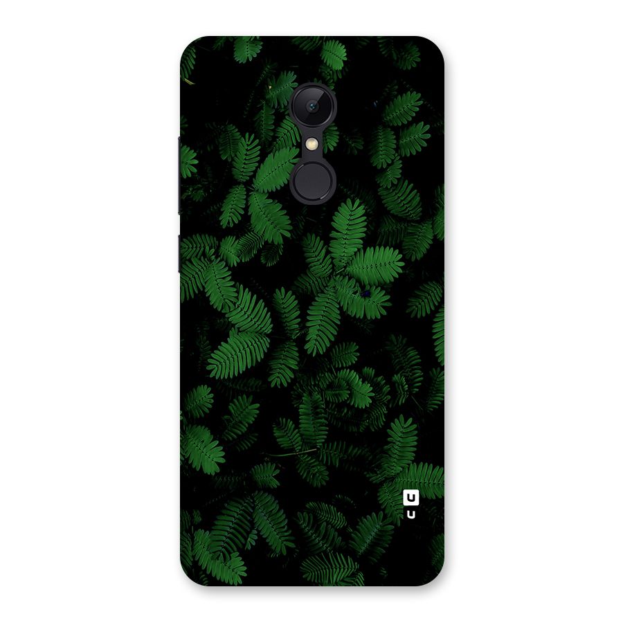 Beautiful Touch Me Not Back Case for Redmi 5