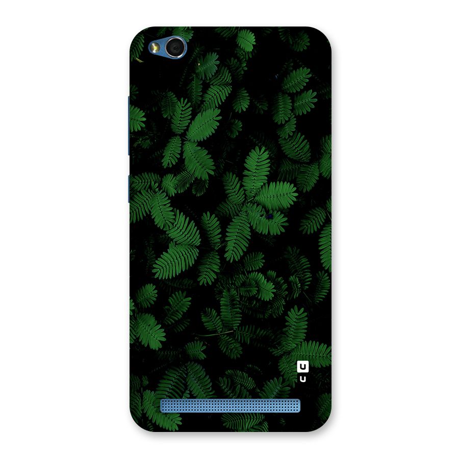 Beautiful Touch Me Not Back Case for Redmi 5A