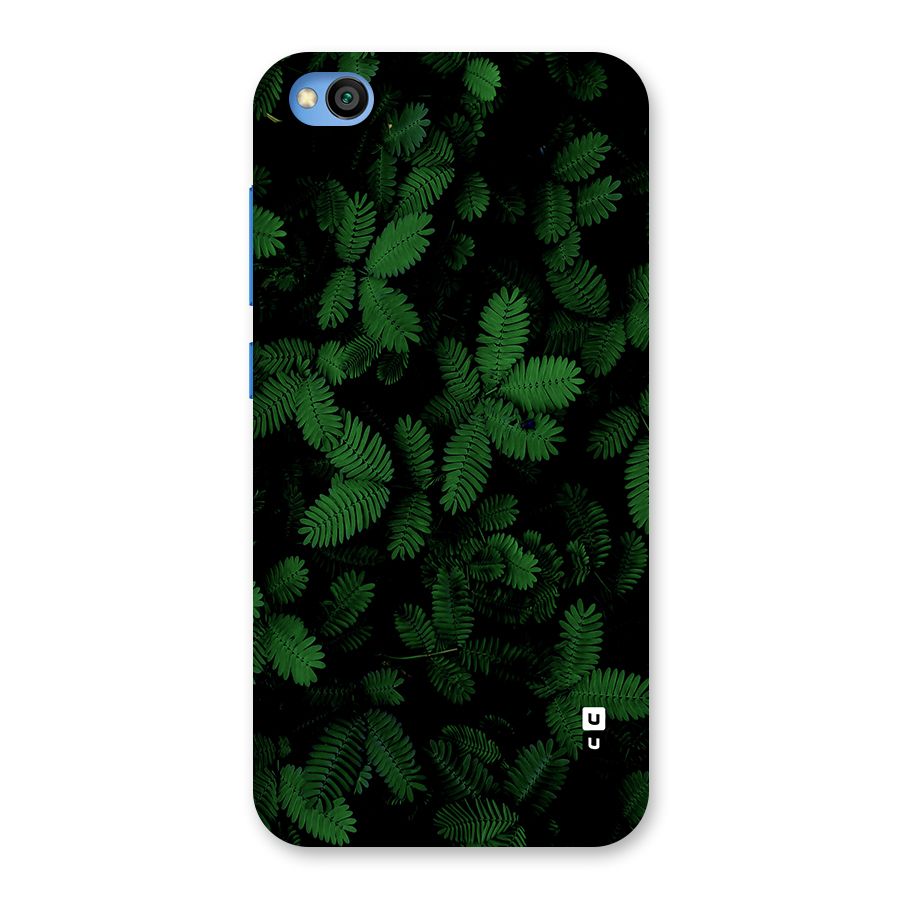 Beautiful Touch Me Not Back Case for Redmi Go