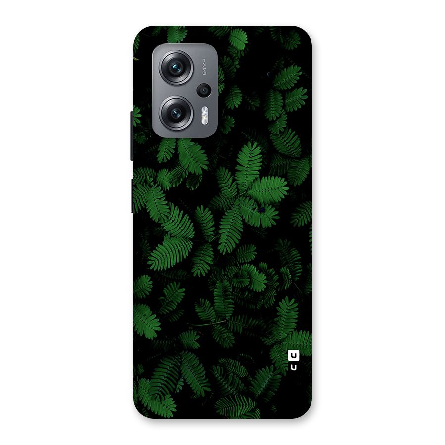 Beautiful Touch Me Not Back Case for Redmi K50i