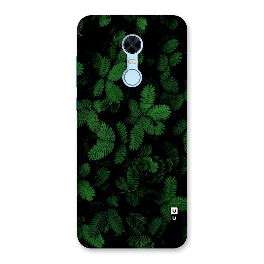 Beautiful Touch Me Not Back Case for Redmi Note 5