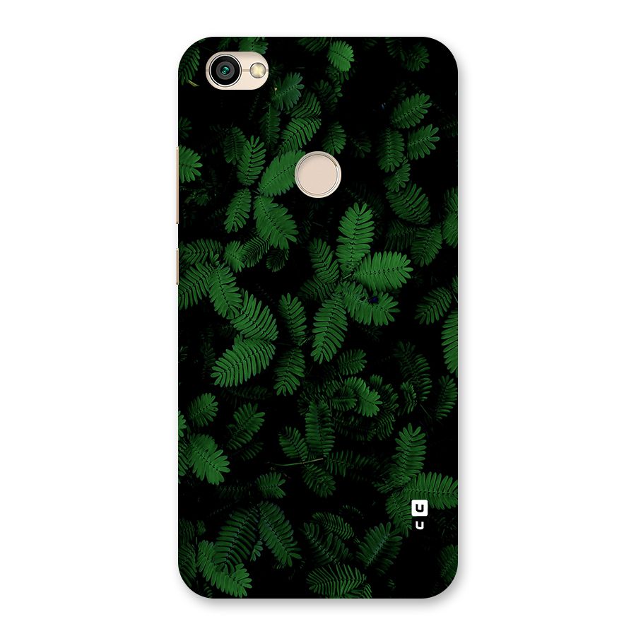 Beautiful Touch Me Not Back Case for Redmi Y1 2017