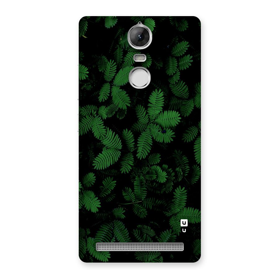 Beautiful Touch Me Not Back Case for Vibe K5 Note