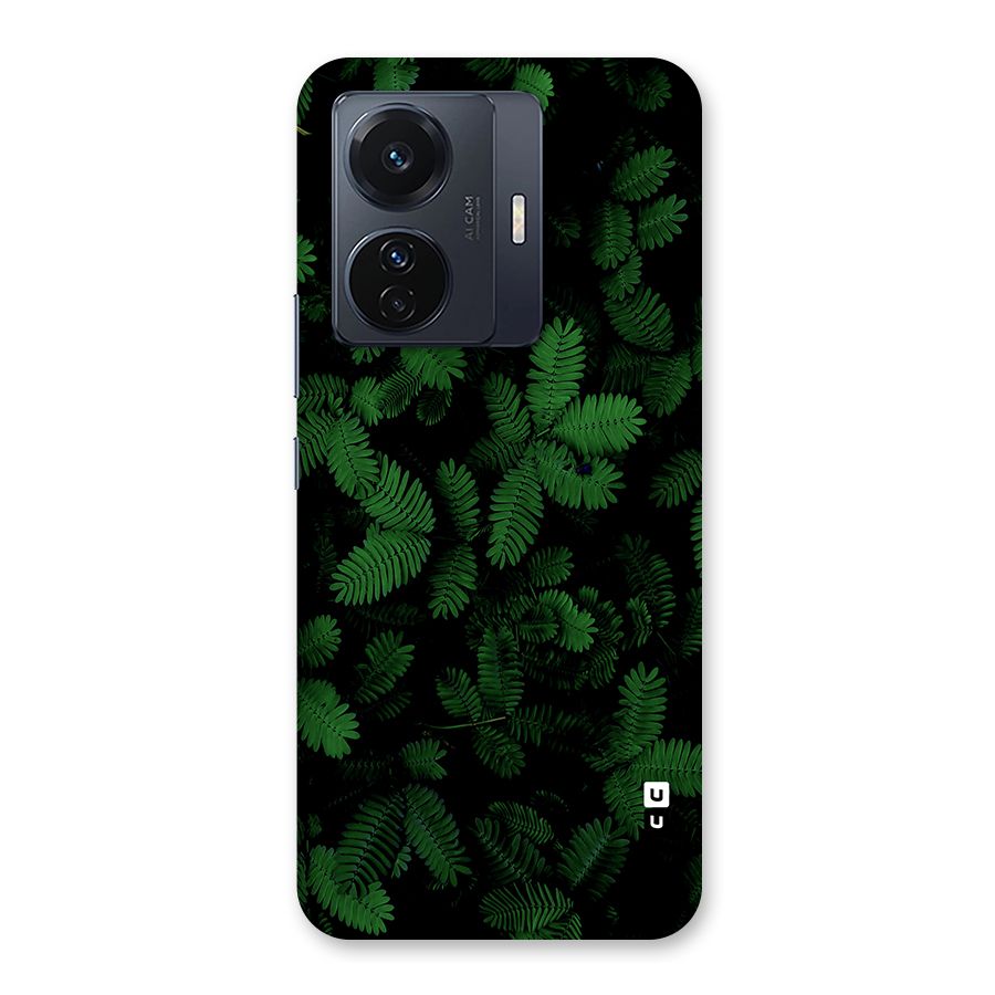Beautiful Touch Me Not Back Case for Vivo T1 Pro