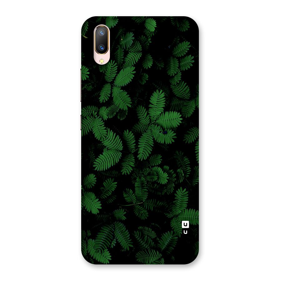 Beautiful Touch Me Not Back Case for Vivo V11 Pro