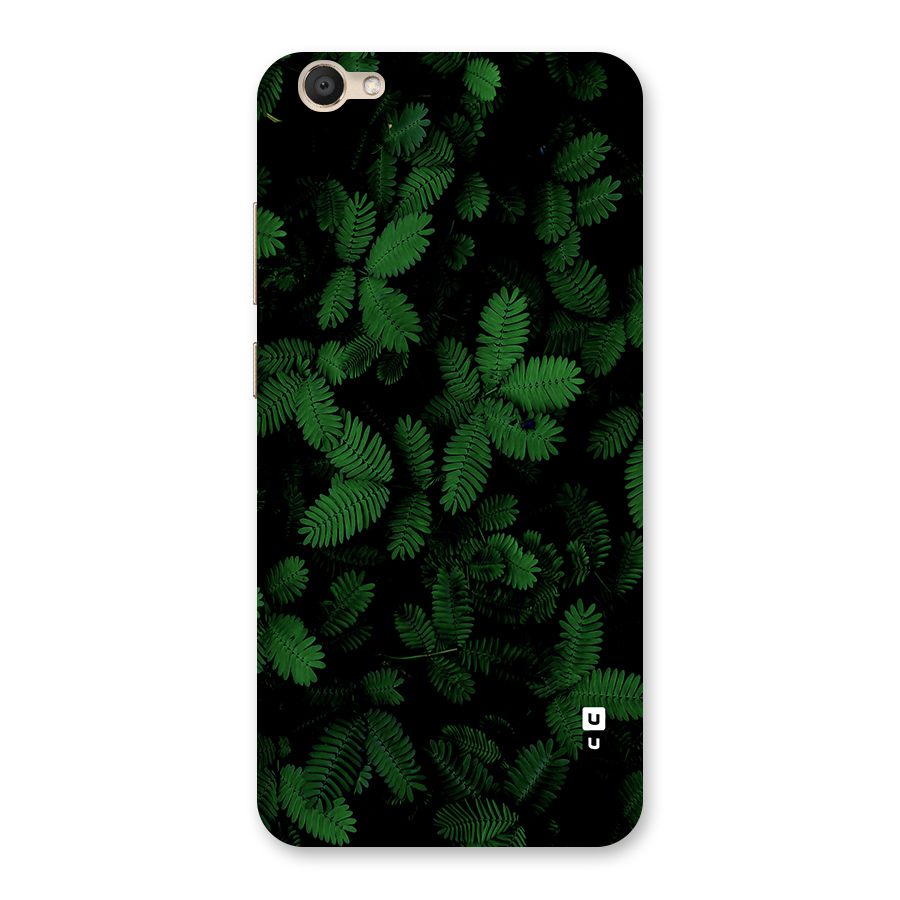 Beautiful Touch Me Not Back Case for Vivo V5