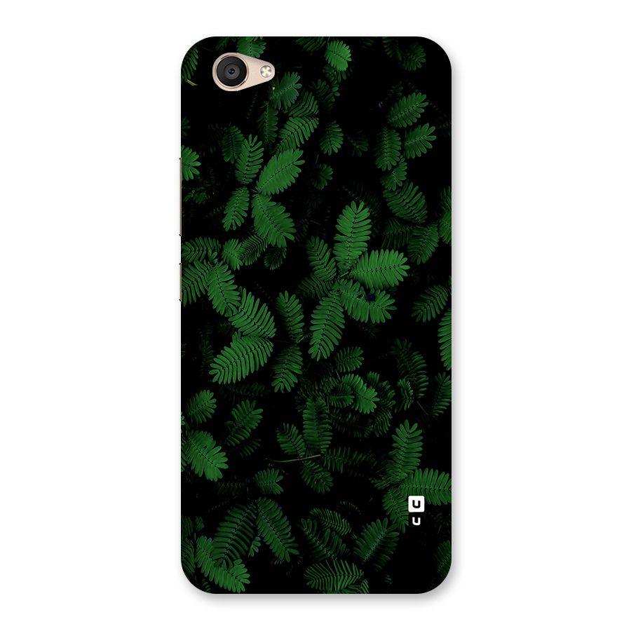 Beautiful Touch Me Not Back Case for Vivo V5 Plus