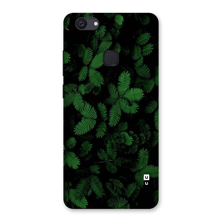 Beautiful Touch Me Not Back Case for Vivo V7 Plus
