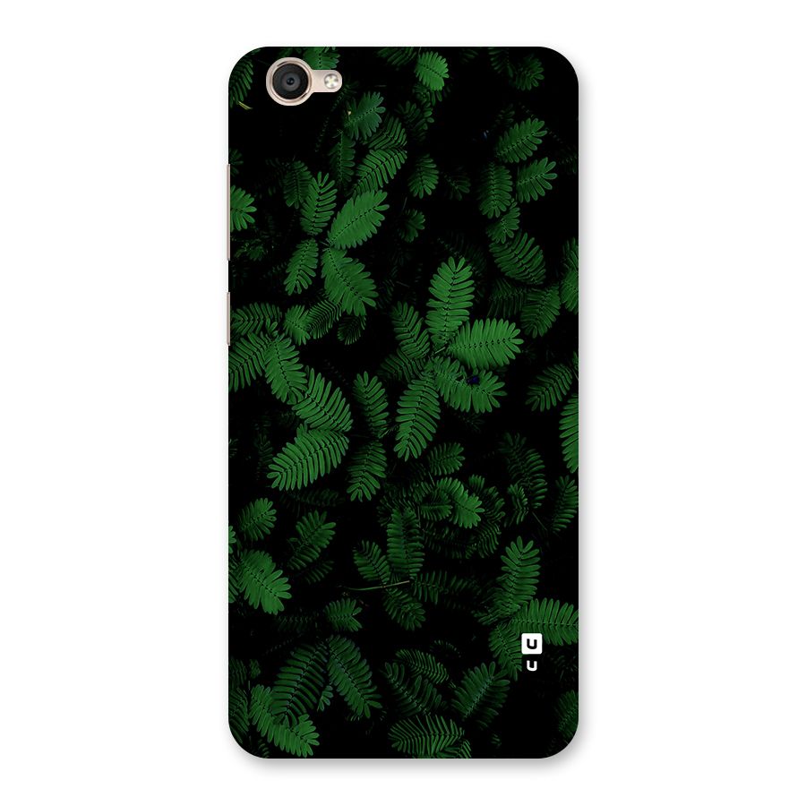 Beautiful Touch Me Not Back Case for Vivo Y55L