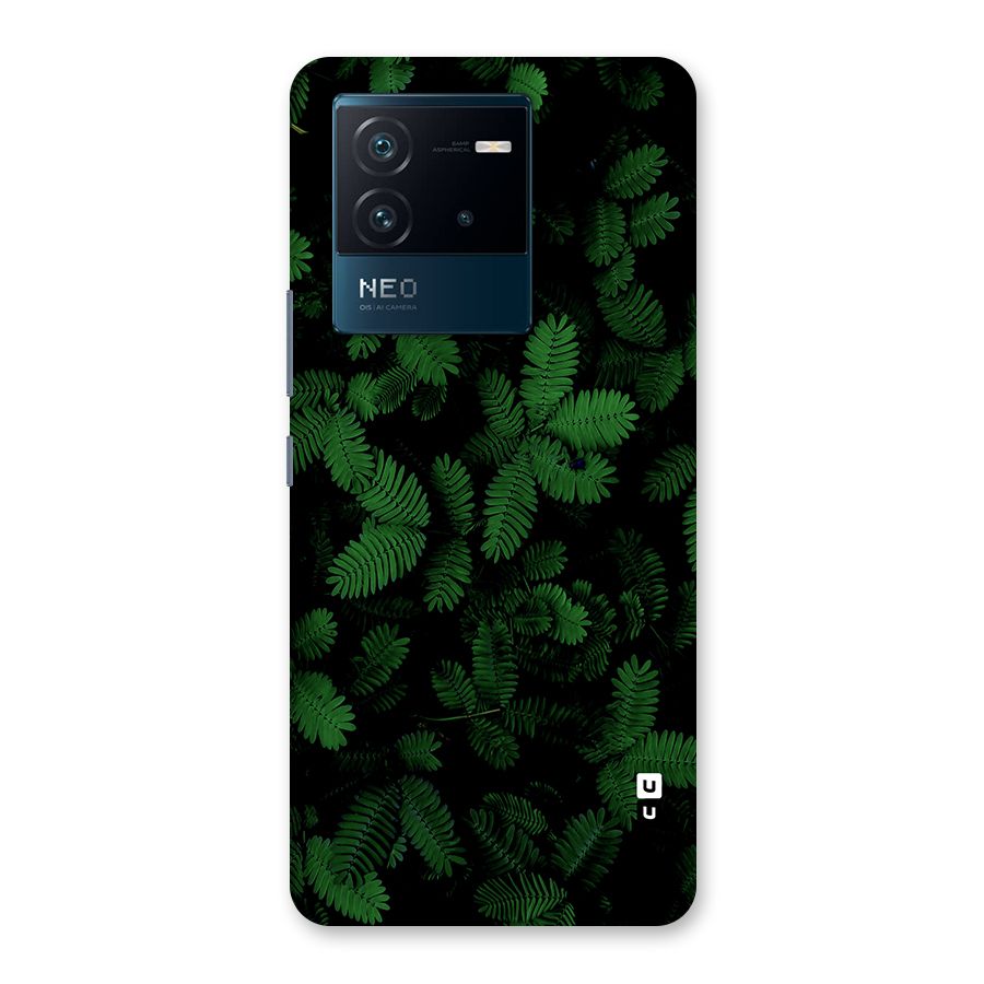 Beautiful Touch Me Not Back Case for Vivo iQOO Neo 6 5G