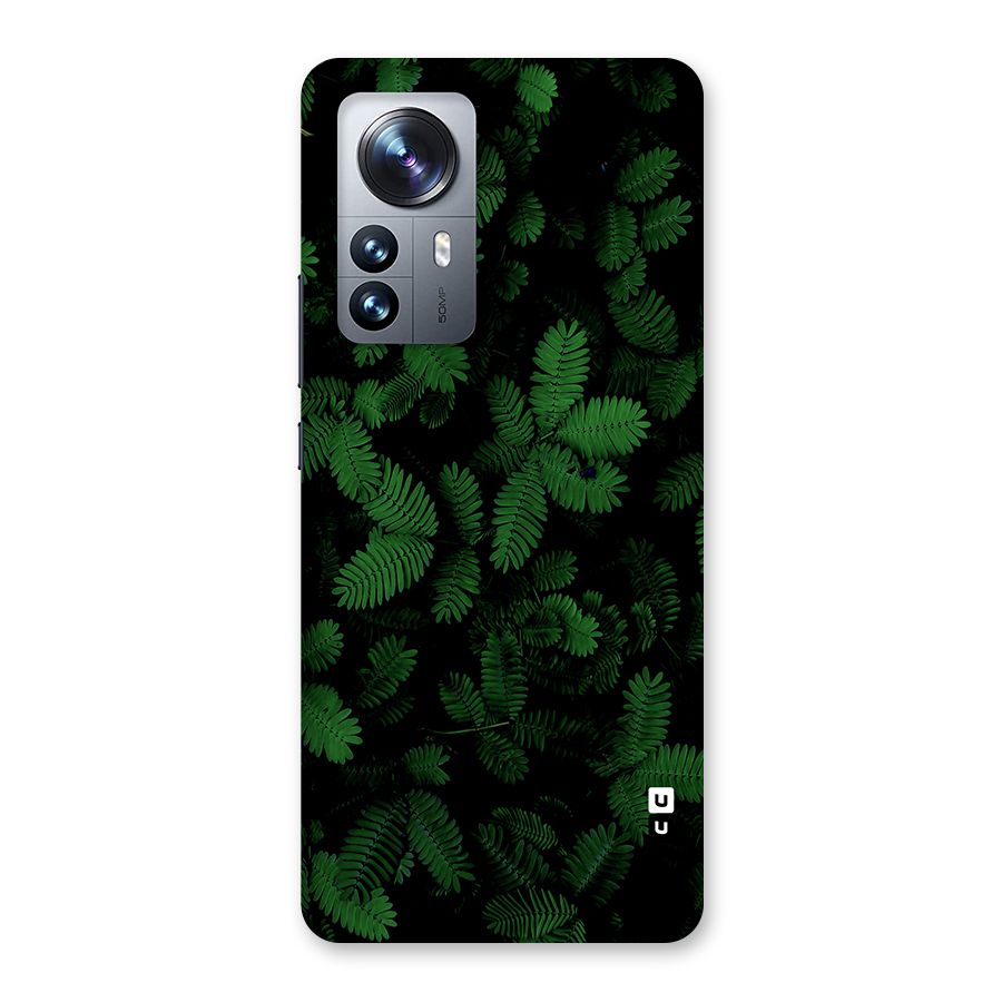 Beautiful Touch Me Not Back Case for Xiaomi 12 Pro