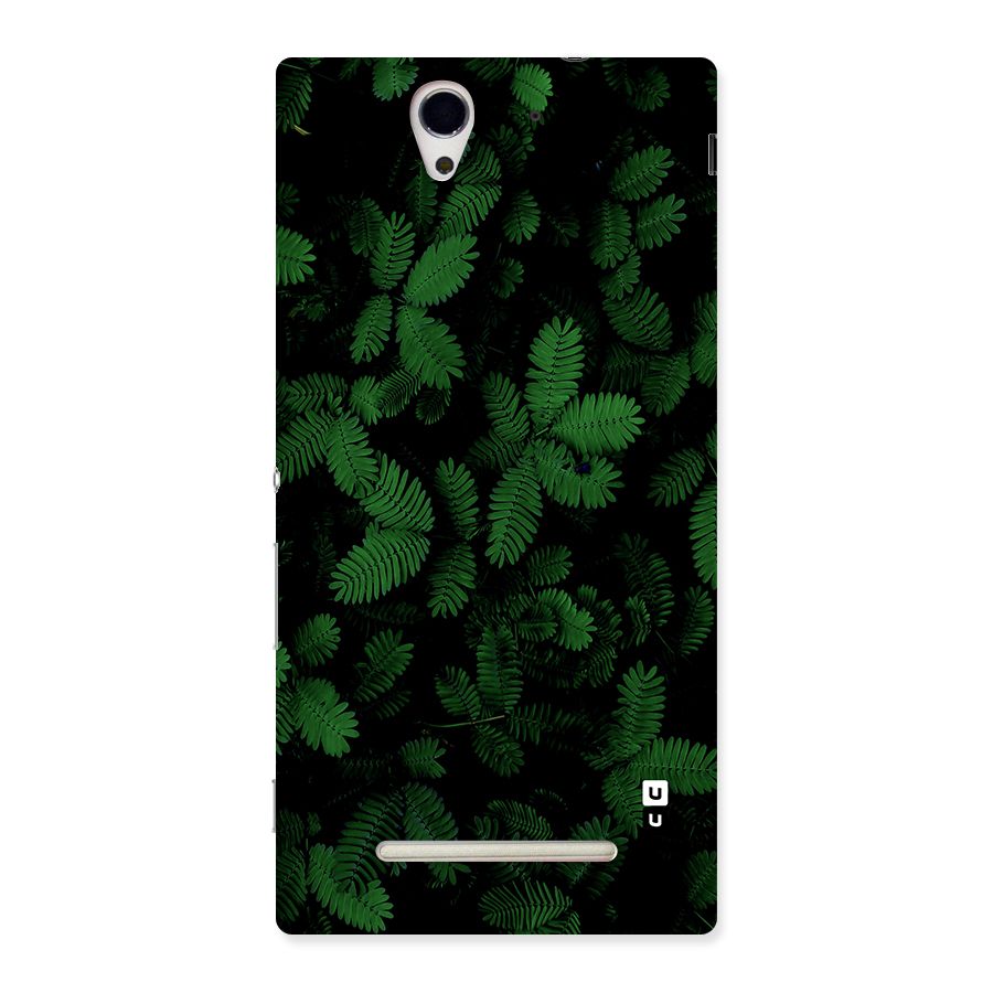 Beautiful Touch Me Not Back Case for Xperia C3