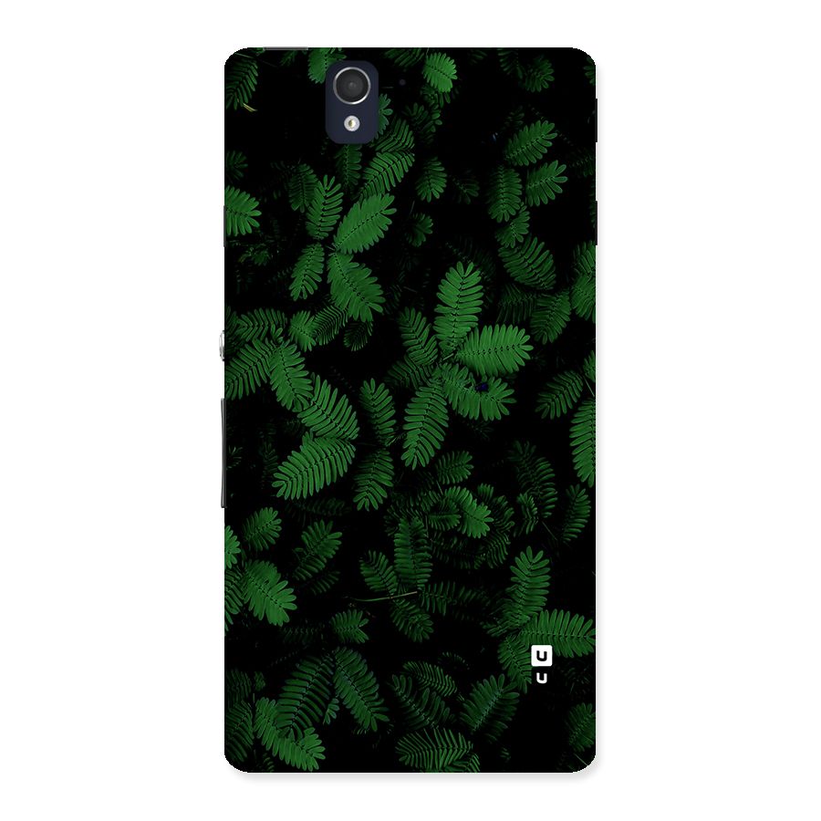 Beautiful Touch Me Not Back Case for Xperia Z