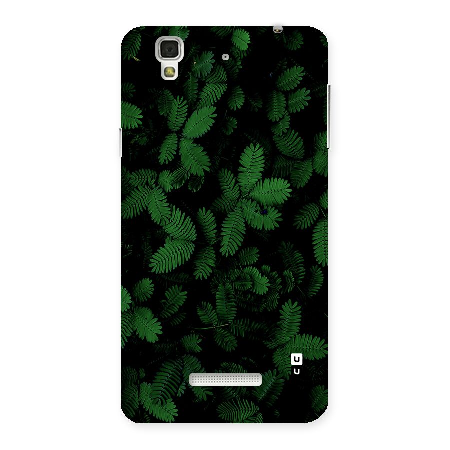 Beautiful Touch Me Not Back Case for Yureka