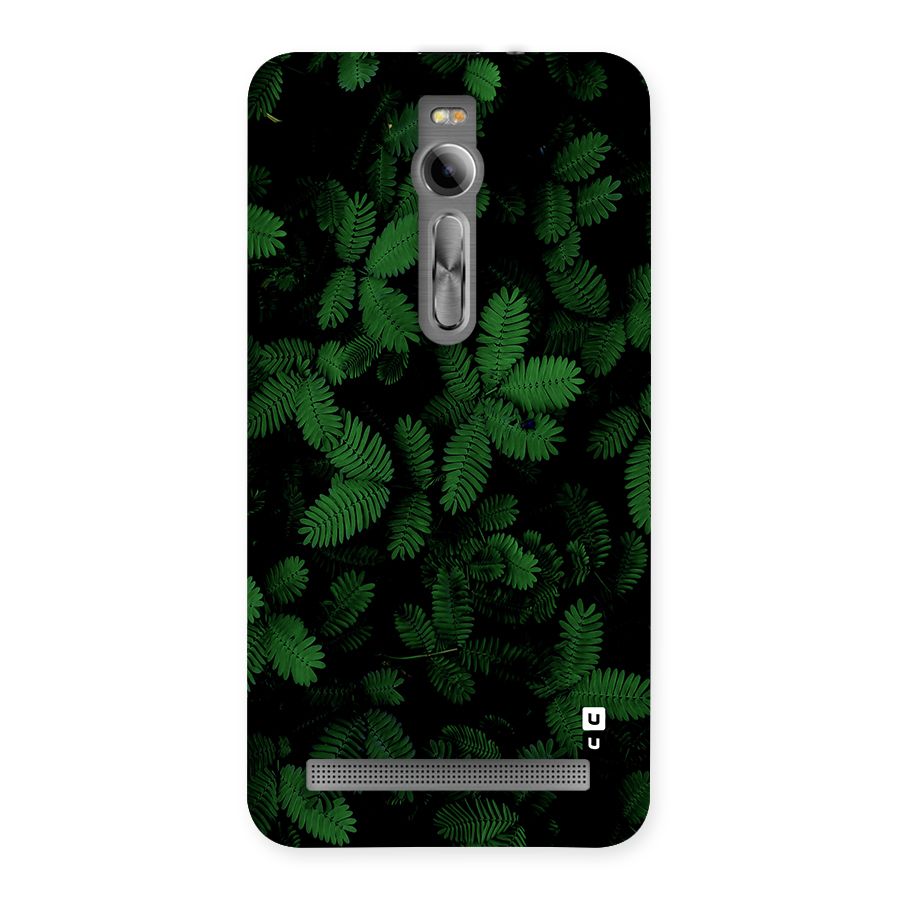 Beautiful Touch Me Not Back Case for Zenfone 2