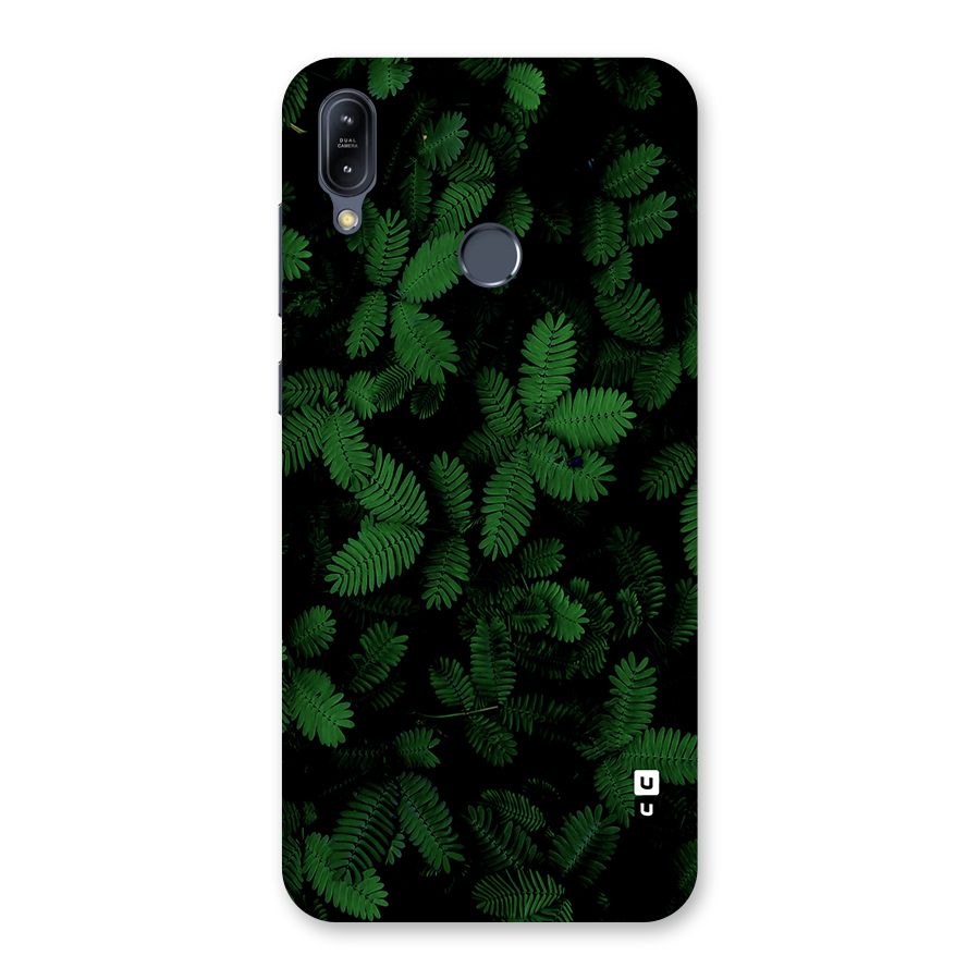 Beautiful Touch Me Not Back Case for Zenfone Max M2