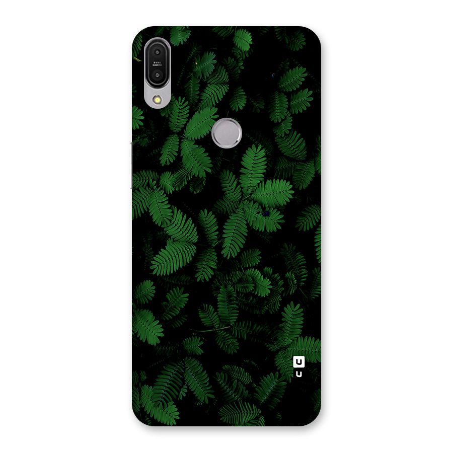 Beautiful Touch Me Not Back Case for Zenfone Max Pro M1