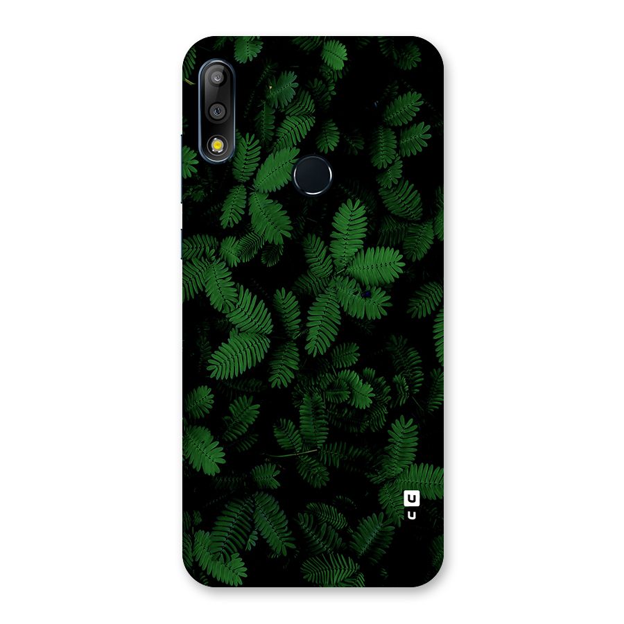 Beautiful Touch Me Not Back Case for Zenfone Max Pro M2