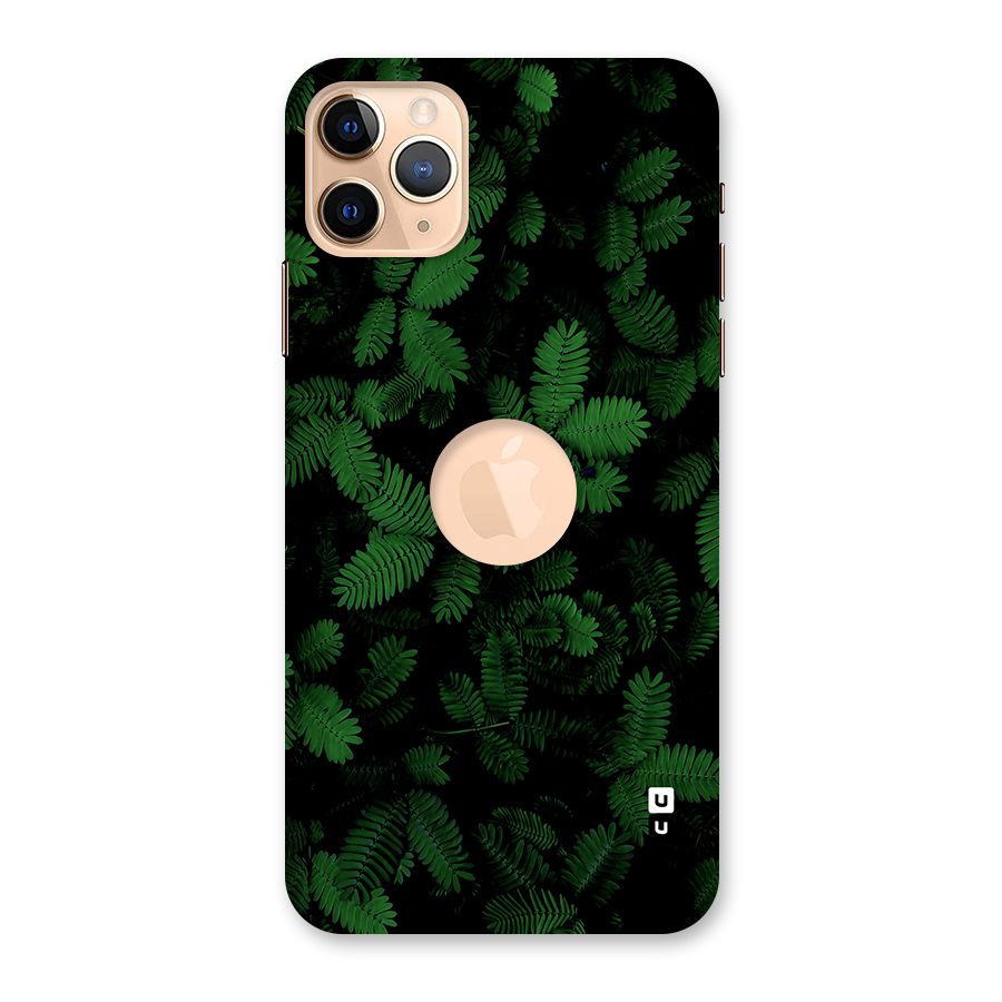 Beautiful Touch Me Not Back Case for iPhone 11 Pro Max Logo Cut