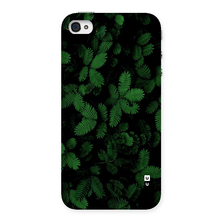 Beautiful Touch Me Not Back Case for iPhone 4 4s