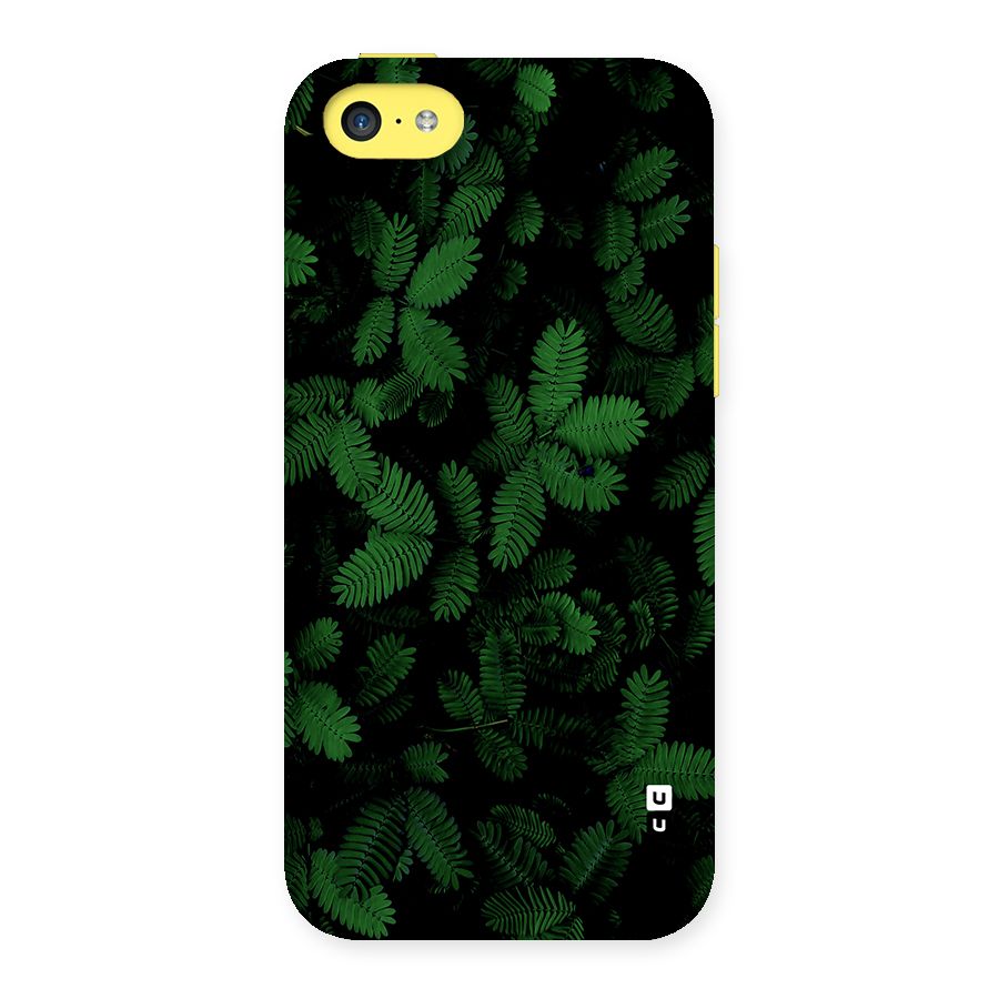 Beautiful Touch Me Not Back Case for iPhone 5C