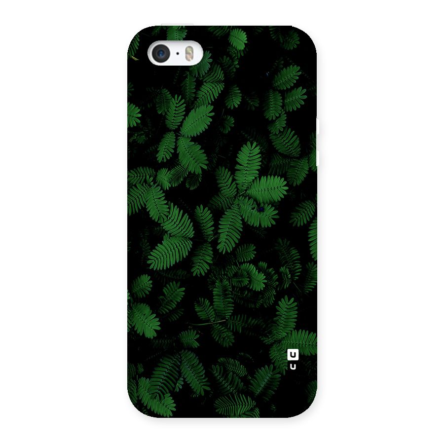 Beautiful Touch Me Not Back Case for iPhone SE 2016