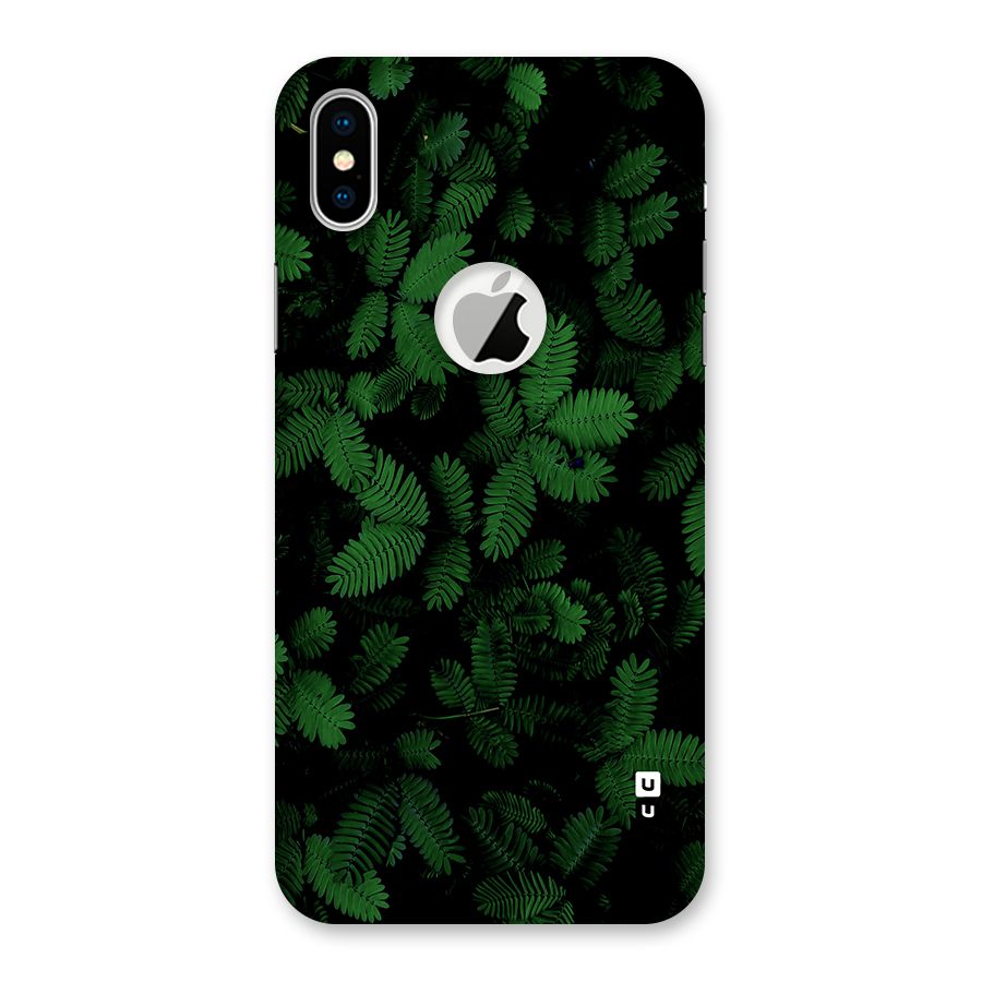 Beautiful Touch Me Not Back Case for iPhone XS Logo Cut