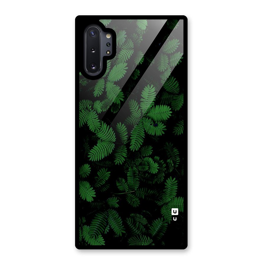 Beautiful Touch Me Not Glass Back Case for Galaxy Note 10 Plus